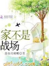 家不是战场小说