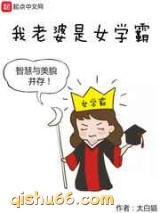 我老婆是女学霸小说