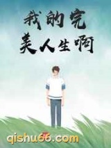我的完美人生啊小说