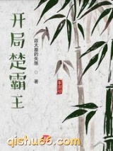 开局楚霸王小说