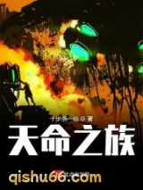 天命之族小说