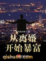 从离婚开始暴富小说