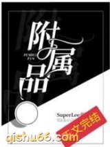 附属品小说