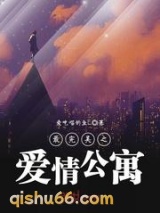 最完美之爱情公寓小说