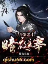 斗罗之暗夜主宰小说