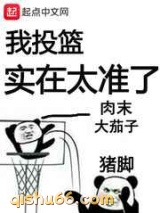 我投篮实在太准了小说