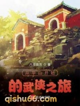 从华山开始的武侠之旅小说