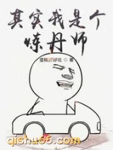 其实我是个炼丹师小说