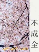 不成全小说