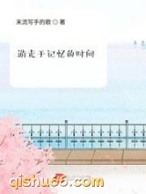 游走于记忆的时间小说