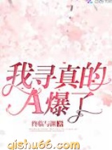 我寻真的A爆了小说