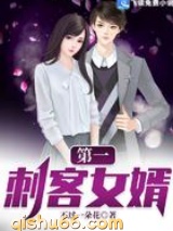 第一刺客女婿小说