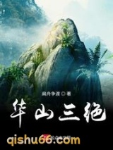 华山三绝小说