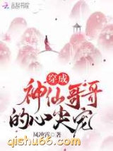 穿成神仙哥哥的心尖宠小说