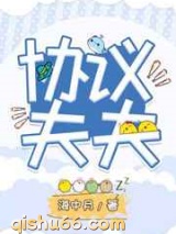 协议夫夫小说