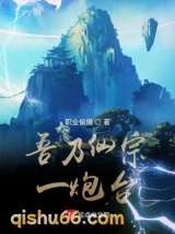 吾乃仙宗一炮台小说