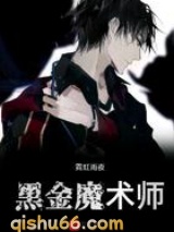 黑金魔术师小说