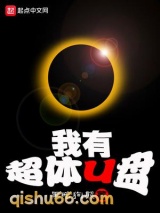 我有超体U盘小说