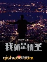 我就是情圣小说