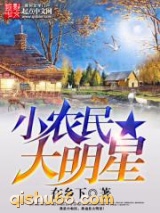 小农民大明星小说
