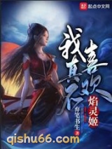 我真不喜欢焰灵姬小说