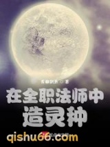 在全职法师中造灵种小说