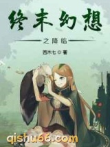 终末幻想之降临小说