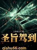 圣旨驾到小说