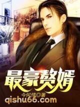 最豪赘婿小说