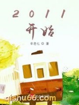 2011开始小说