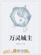 万灵城主小说