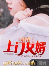 最佳上门女婿小说