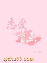 恋爱盲点小说