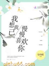 我想我已慢慢喜欢你小说