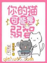 你的猫可能是弱智小说
