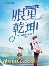 都市异能之眼里乾坤小说