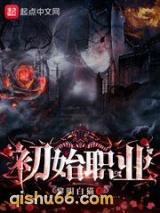 初始职业小说