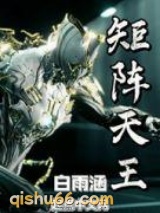 矩阵天王小说