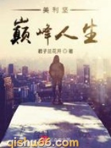 美利坚巅峰人生小说