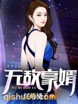 无敌豪婿小说