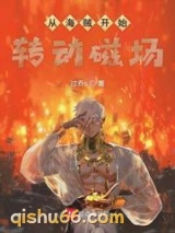 从海贼开始转动磁场小说