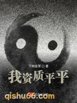 我资质平平小说