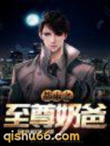 都市之至尊奶爸小说