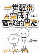 一觉醒来变成了宿敌的男宠小说