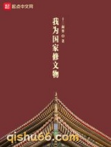 我为国家修文物小说