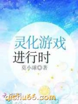 灵化游戏进行时小说