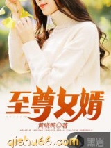 至尊女婿小说