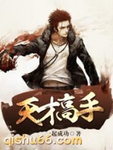 天才高手小说