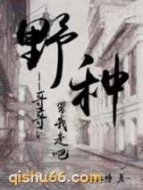 野种小说