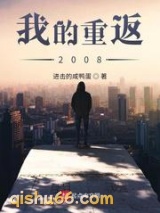 我的重返2008小说